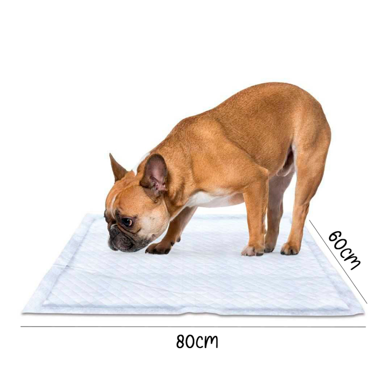Tapete Higiênico Para Cães Super Tapetão 80 X 60 Com 30