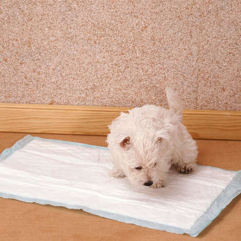 Tapete Higiênico Para Cães Super Tapetão 80 X 60 Com 30