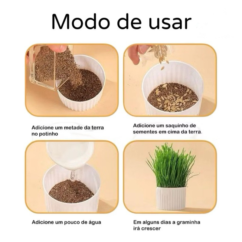 Grama Para Gatos Para Digestão Com Bandeja e Graminha
