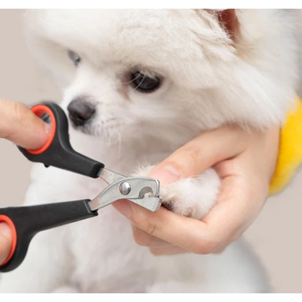1Tesoura De Unha Pet/ Maquina Para Tosar Para Roedores Cachorros